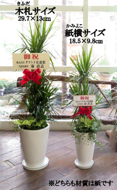 立札について 観葉植物ギフト通販 販売 新築 開店 開業祝いなどに タマトメ花遊館の観葉倶楽部 花 フラワーアレンジメント