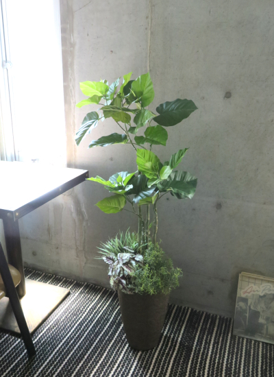 フェイクグリーン観葉植物ギフト ウンベラータ寄せ植え 軽量インテリア鉢使用