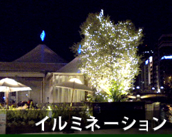 イルミネーション・電飾